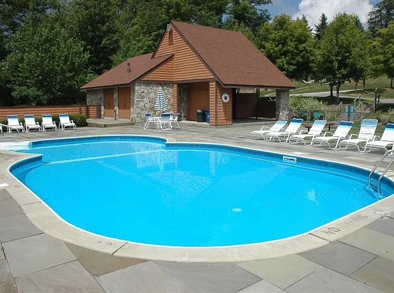 2404 Swiss Mountain Dr #2404 — Photo 19