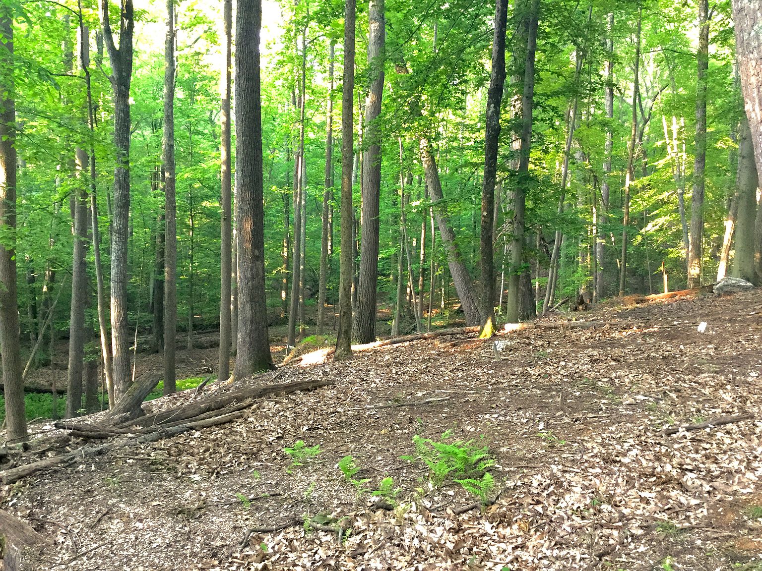 Stumptown Rd, Leesburg, VA 20176 Zillow