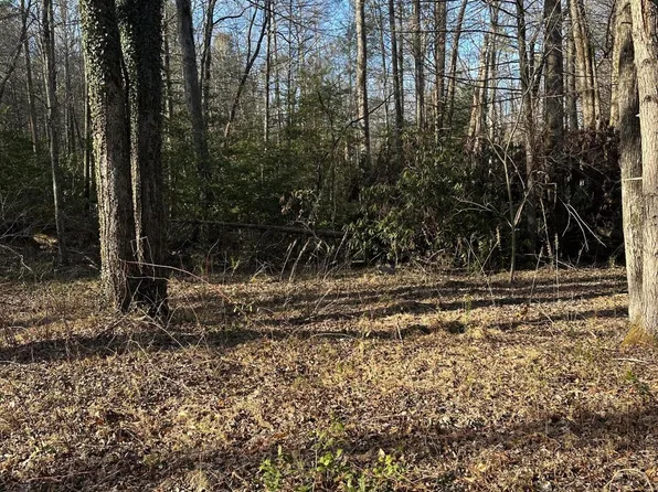 144 Cricket Hollow Way, Cosby, TN 37722