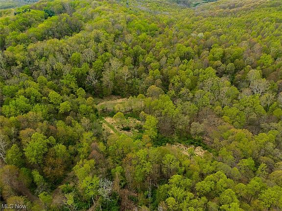 3rd image of 44659 Township Road 314