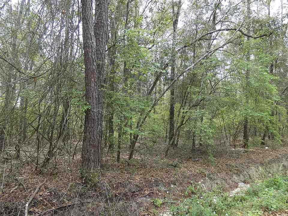 2nd image of Taylor Rd