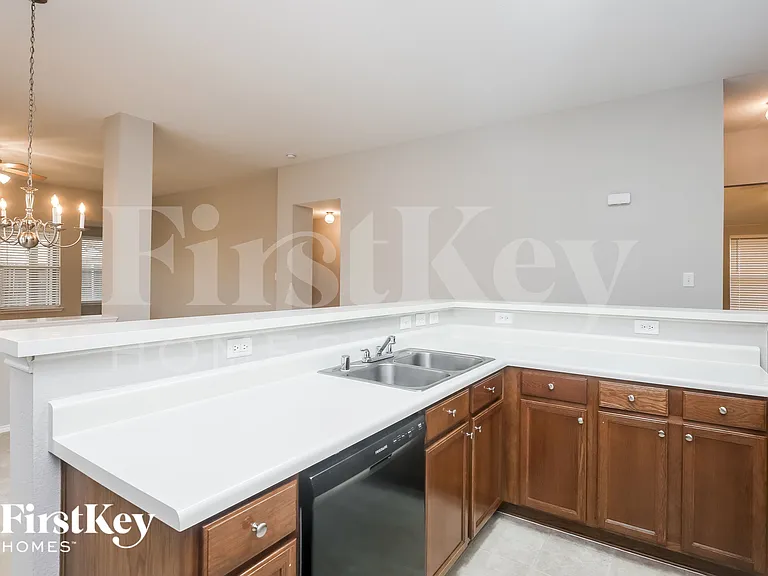 1829 Canvasback — Photo 8