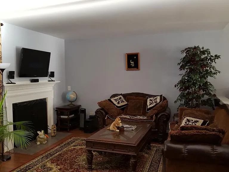 12520 Fanleaf Ct — Photo 6