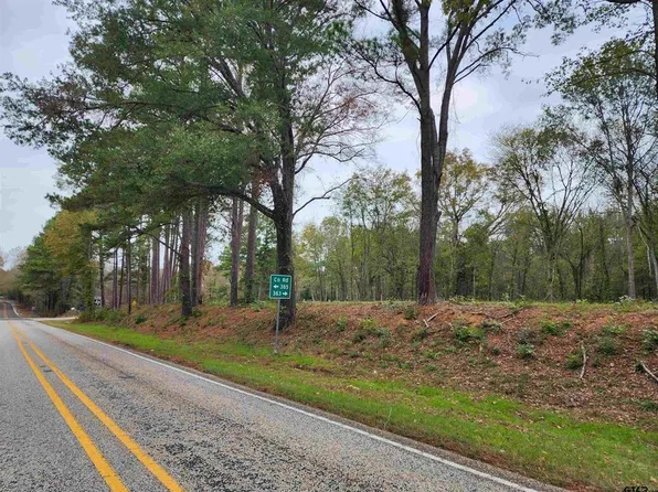 LOT 1 Ne Cres #363, Winona, TX 75792