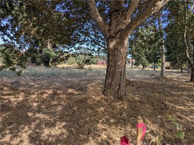 38 Sycamore Rd, Atascadero, CA, 93422