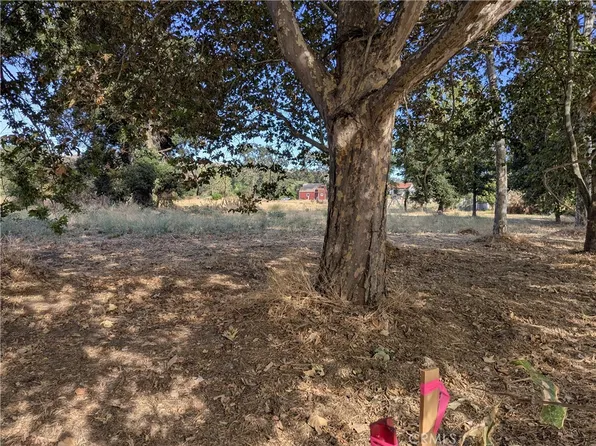 38 Sycamore Rd, Atascadero, CA 93422