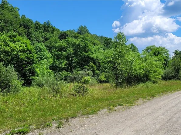 Bailey Long Rd, Bethesda, OH 43719