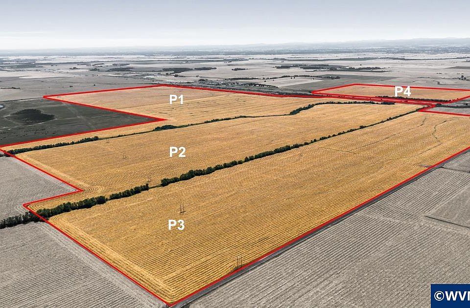 2nd image of P4 Belts Dr