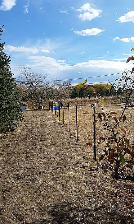 2nd image of 9084 Niwot Rd