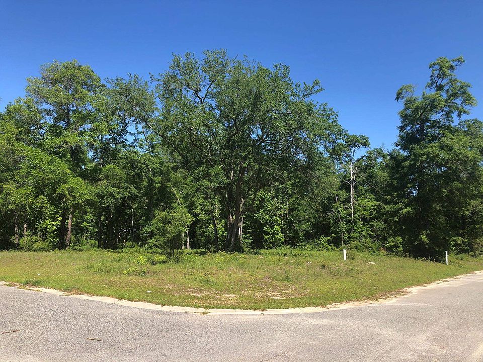1st image of Vacant Pine Cone Dr