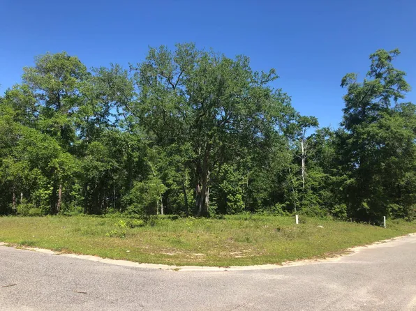 Vacant Pine Cone Dr, Monticello, FL 32344