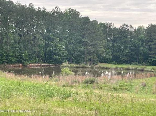 Niki Ln, Pelahatchie, MS 39145