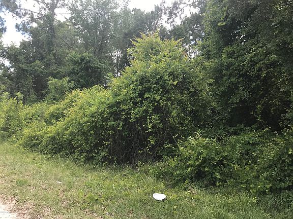 5th image of 139 Kingfish Ave