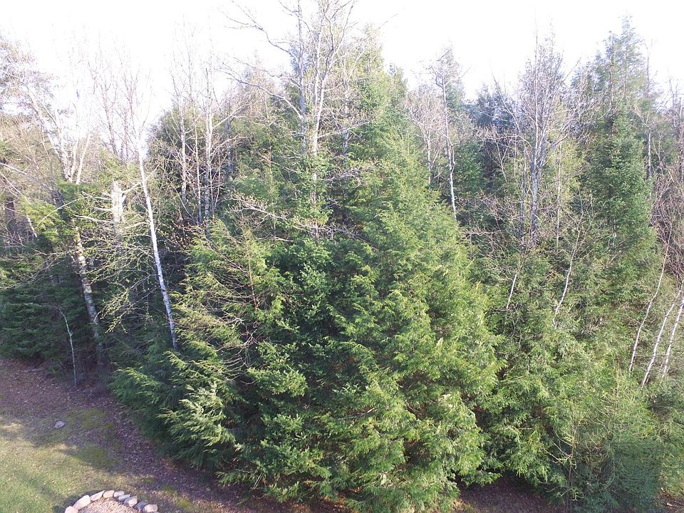 2nd image of LOT 68 Red Fox Run