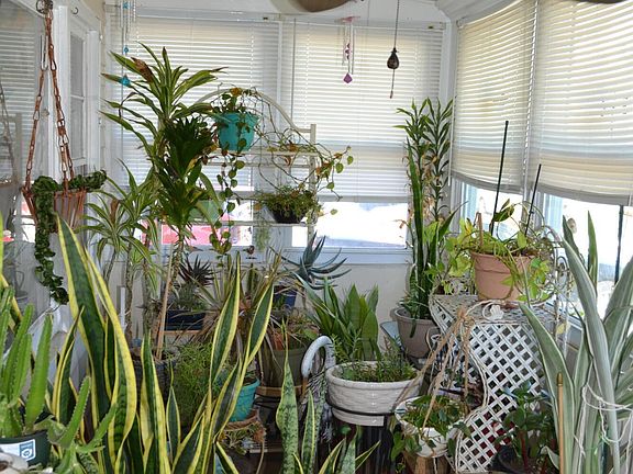 4th image of 267 Seeley Avenue