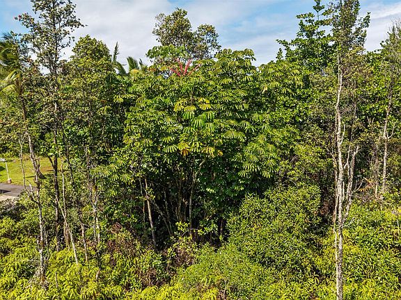 3rd image of Loke Rd