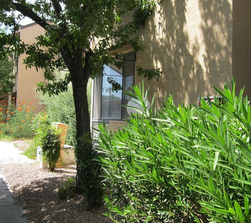 1st image of 7620 E Callisto Cir