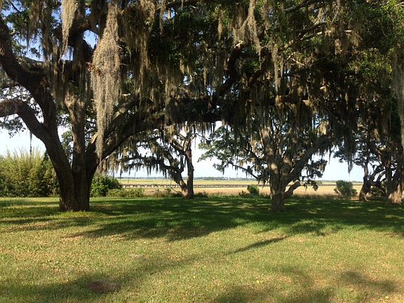 4th image of 95 Wildlife Preserve Dr