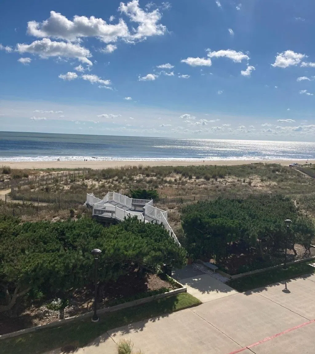 2 bed, 1100 sqft, $1,900 — Photo 1