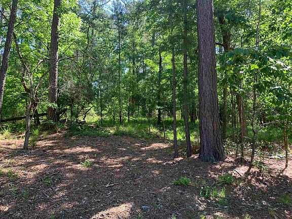 2nd image of 1101 Scull Shoals Dr