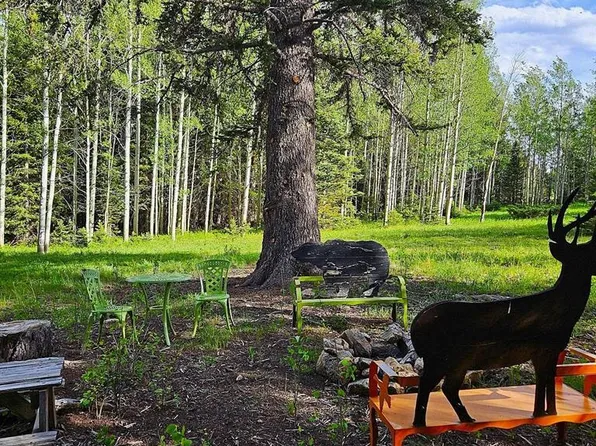 200 Hazel Lake Drive, Cimarron, CO 81220