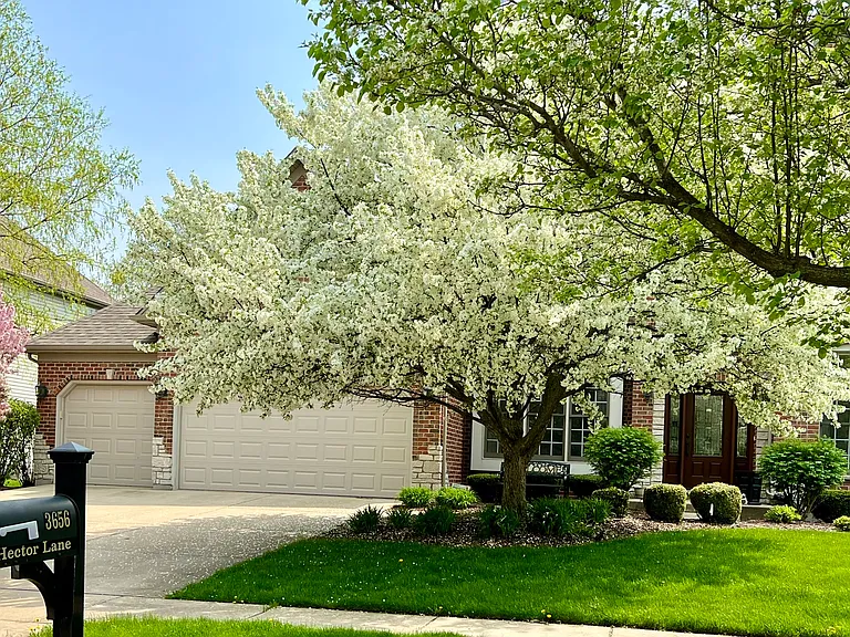 3656 Hector Ln — Photo 42