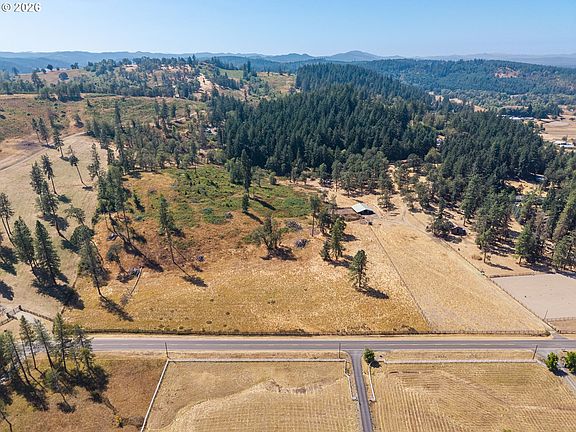 2nd image of Pine Grv