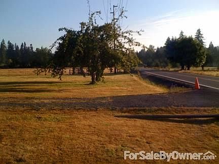 Mature Apple Trees
						:
						Mature Apple Trees