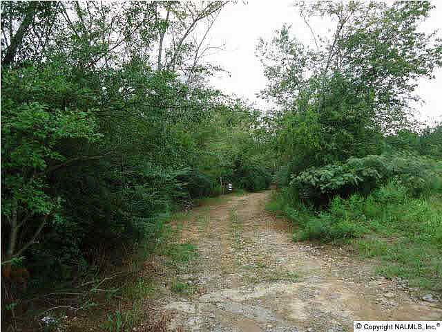 2nd image of Foster Landing Rd