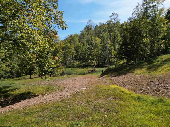 3219 Copen Rd, Copen, WV 26615