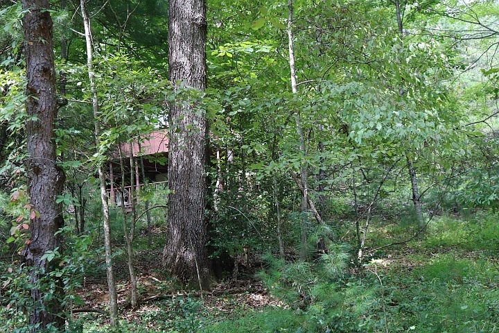 2nd image of 454 Mica Cir