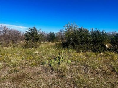 240 Neeleys Slough Dr, Graford, TX, 76449