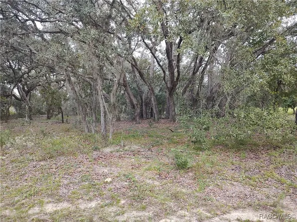 269 N Grandview Ave, Hernando, FL 34442