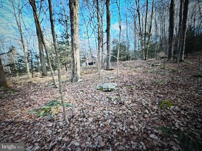 5 Outlet Dr, Harveys Lake, PA, 18618