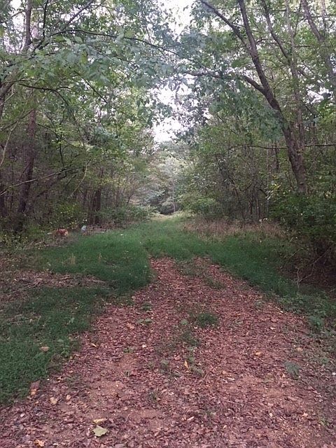 2nd image of 2225 Quail Ridge Dr
