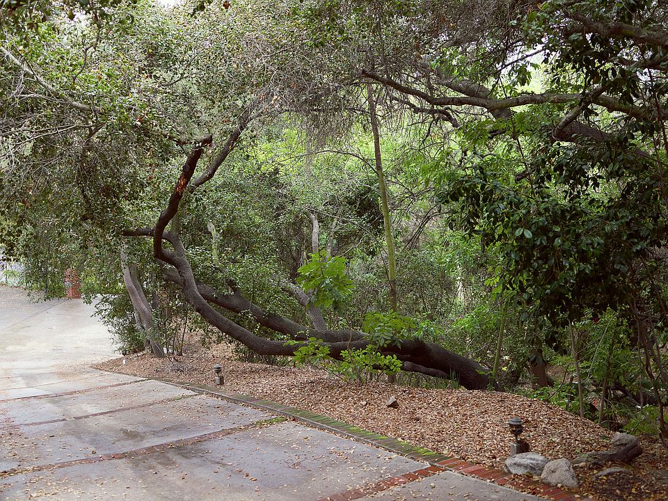 driveway to studio..Situated next to a beautiful canyon