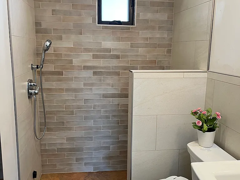 Main bathroom, laundry, rainshower head, bidet.