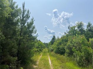 1439 Leonard Chapel Rd, Independence, LA 70443