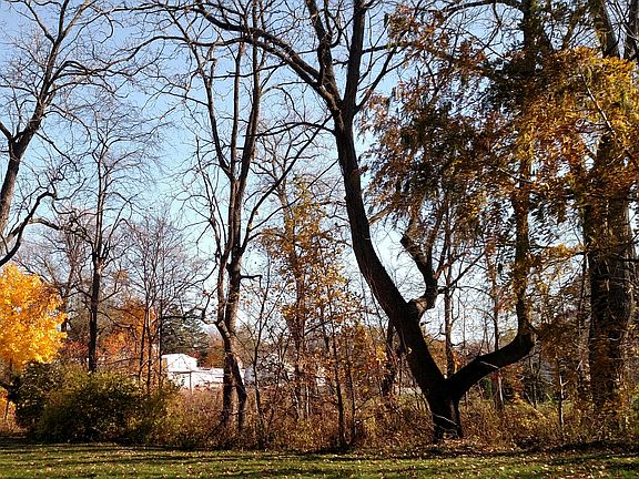 3rd image of 44 Parkway St