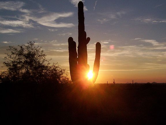 Fantastic Sunsets
