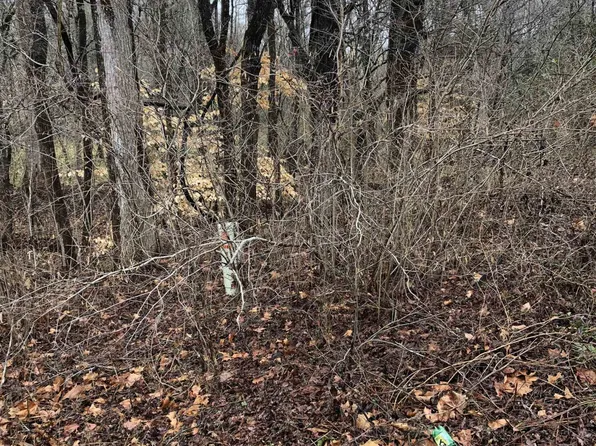 Douglas Williams Rd, Castalia, NC 27816