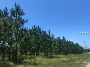 17609 Bledsoe Loop, Lithia, FL 33547