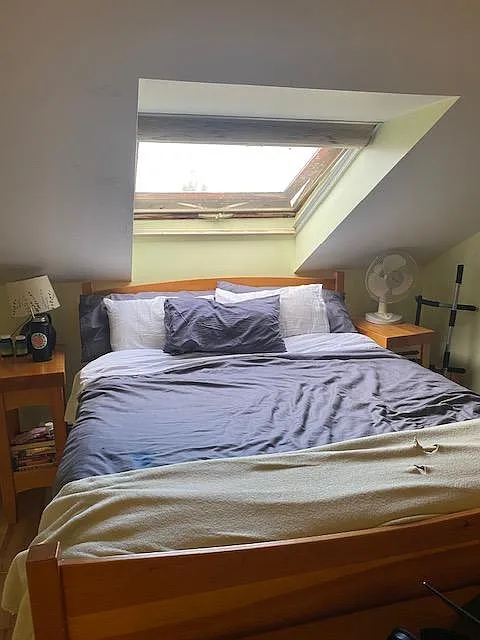 1 bed, 688 sqft, $1,950 — Photo 3