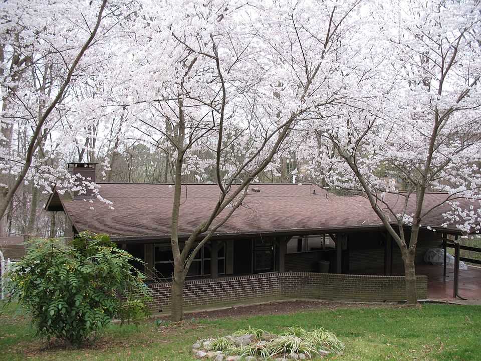 1st image of 3112 Edonia Dr
