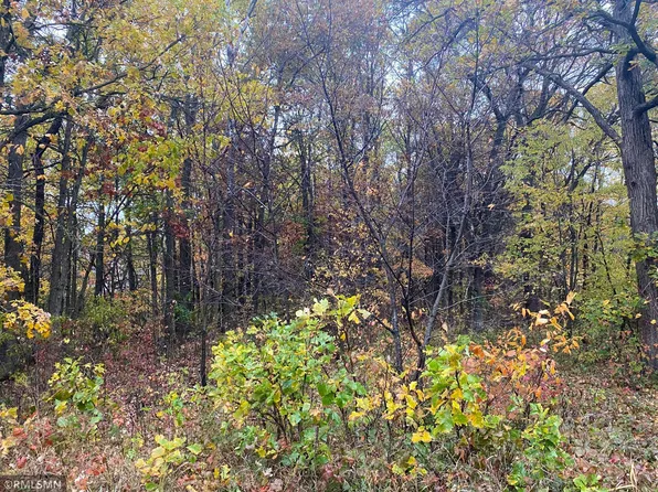 35th St SE, Clear Lake, MN 55319