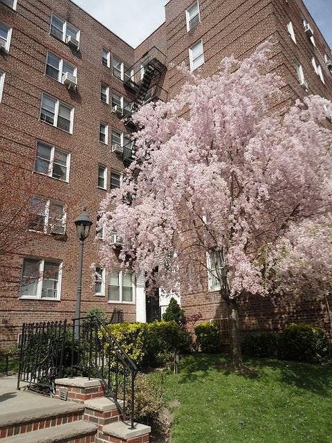 1st image of 88-09 35th Ave #3P