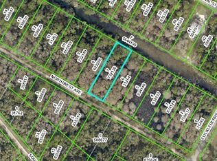 NW Avenue Lot #7, Webster, FL 33597