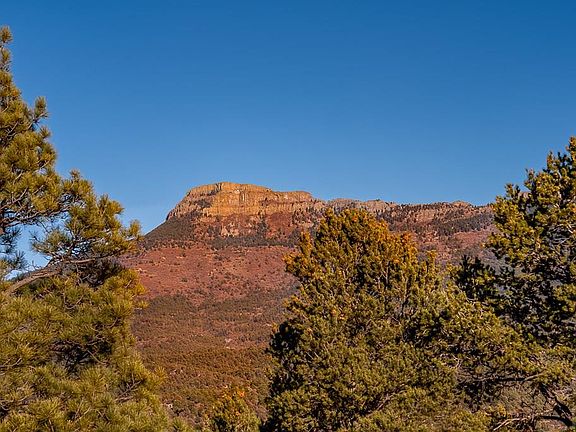 4th image of 33603 Fisher Peak Pkwy