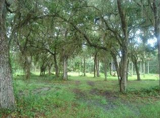 2430 Waccassa St, Geneva, FL 32732