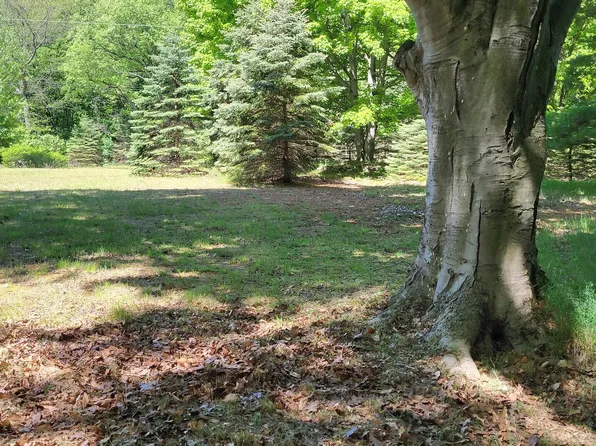 0 Nestrom Rd, Whitehall, MI 49461